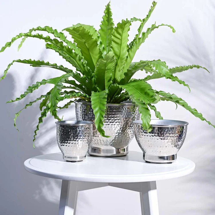 ELEGANCE PLANTER