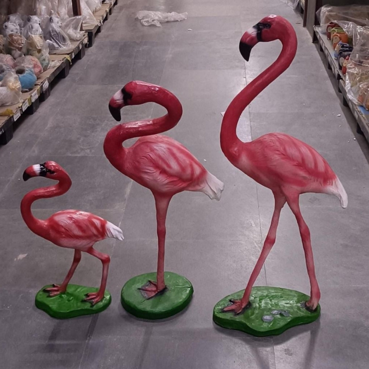 Flamingo Family