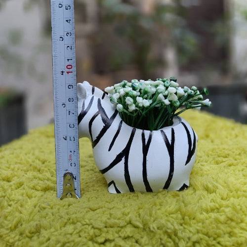 Zebra planter
