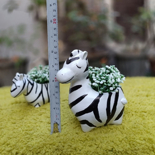 Medium zebra planter