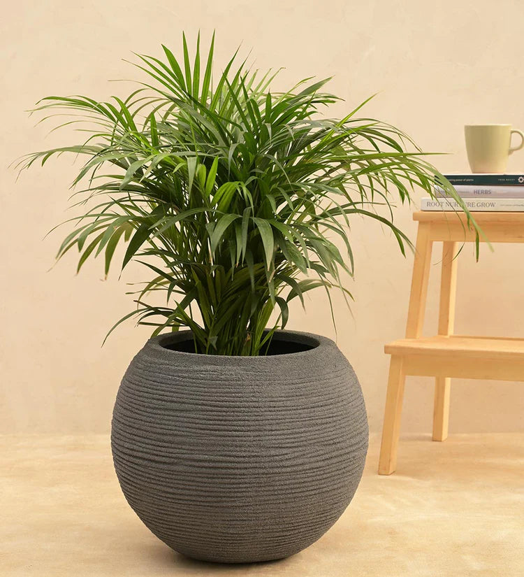 Rib Bowl Planter
