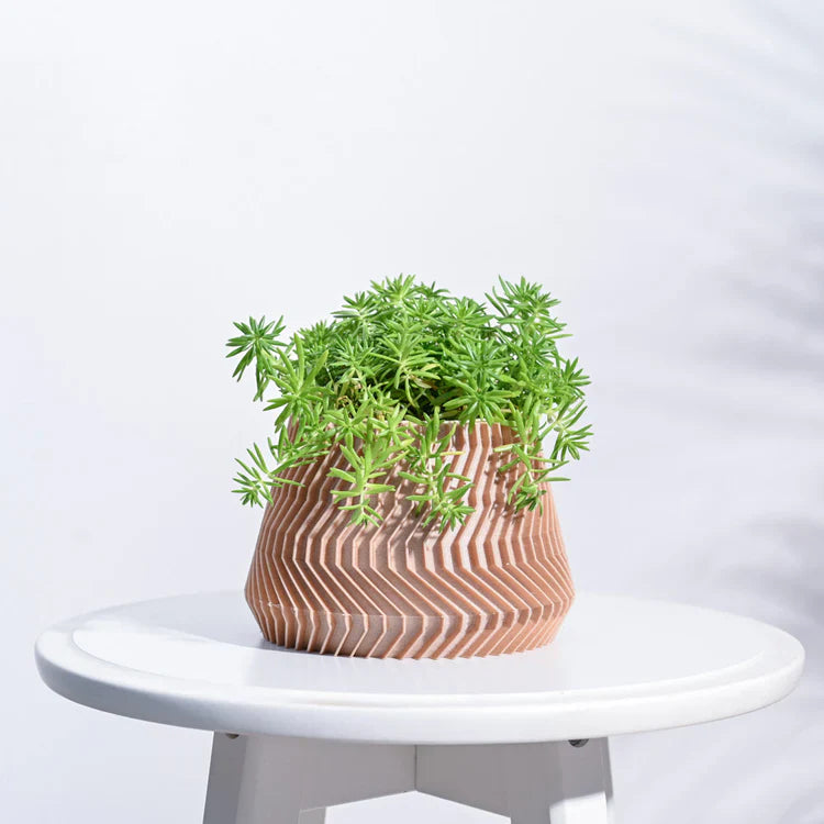 Wooden Pots