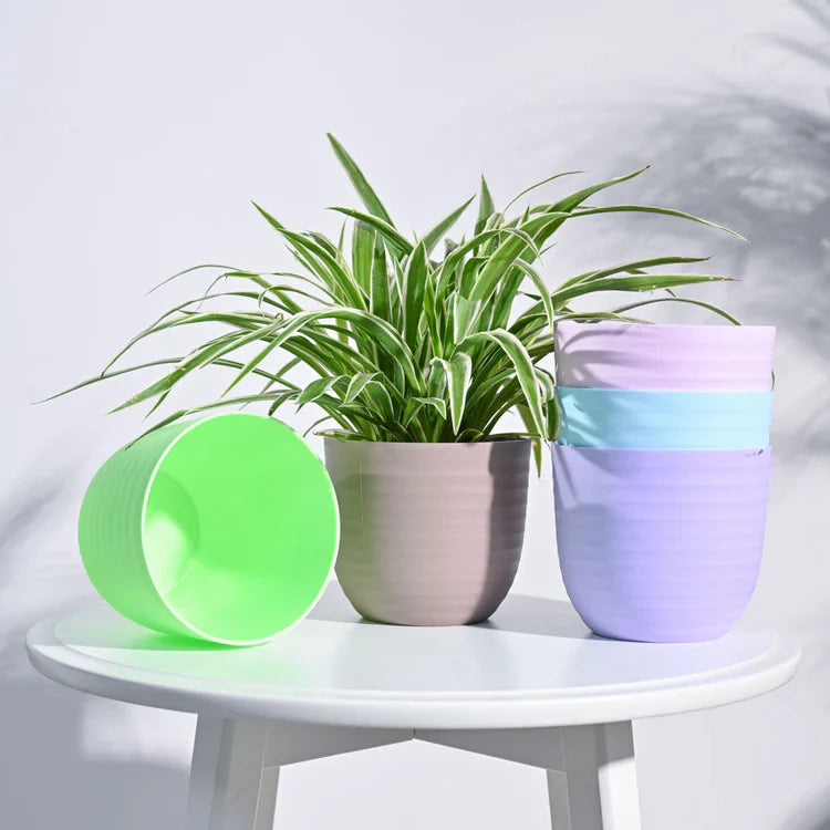 Plastic Pots