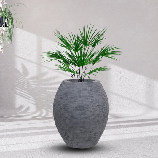 Big Juniper Pot