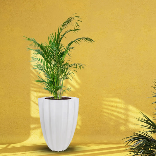 Big Star Pot