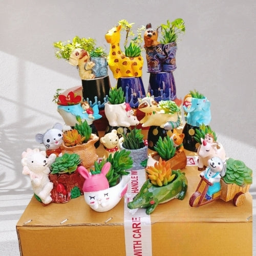 Giraffe League