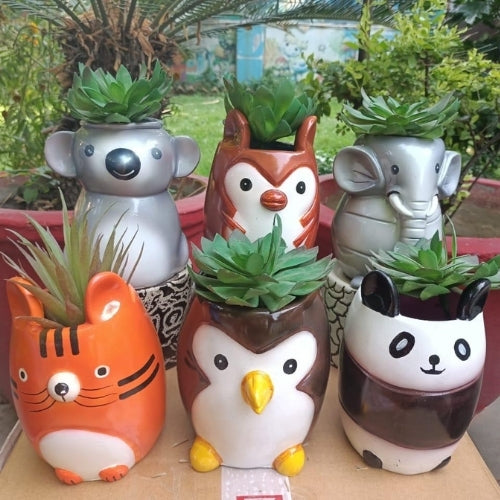 Import Planter