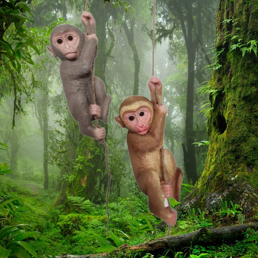 Hanging Monkey