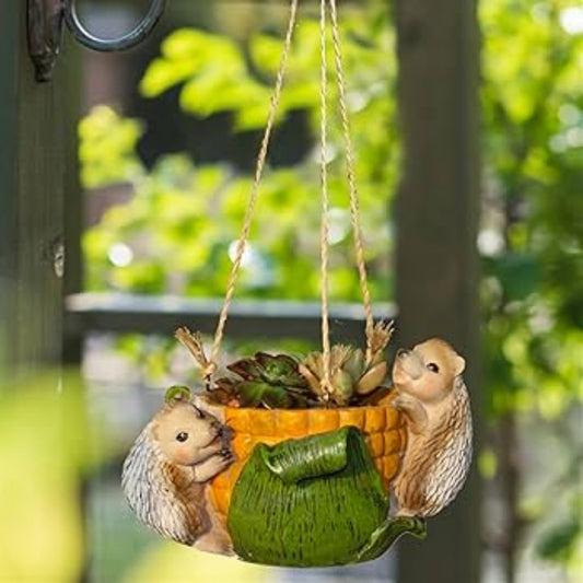Hanging Porcupine