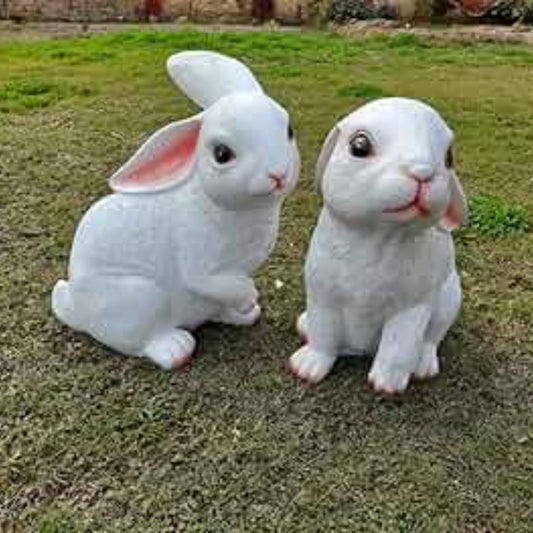 Babby rabbit
