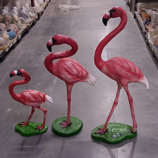 Flamingo Family