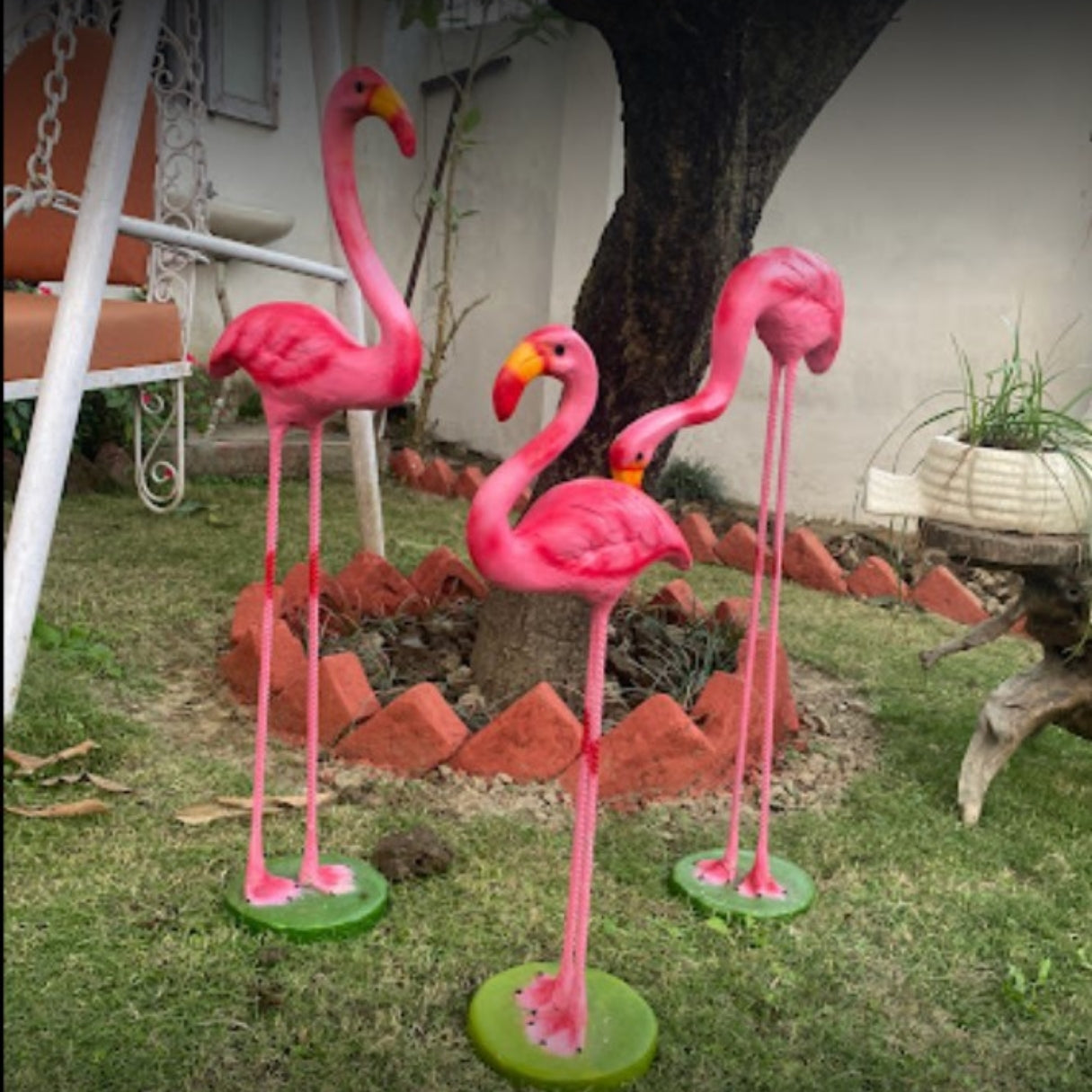 Big leg Flamingo