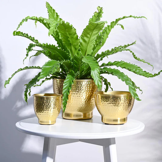 ELEGANCE PLANTER