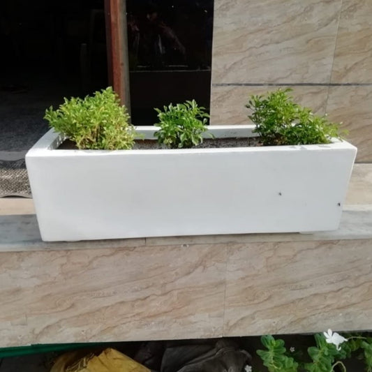 Rectangle Pot