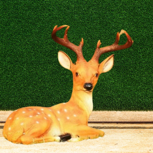 Setting Deer With Horn