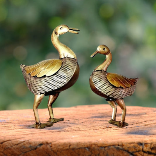 Duck Set