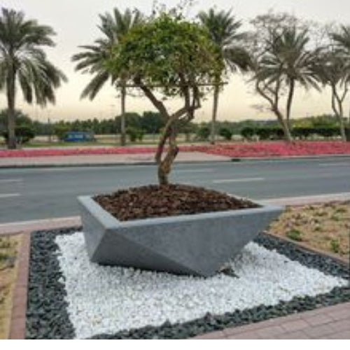 Pentagon Planter