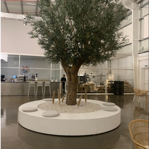 Big Tree Planter
