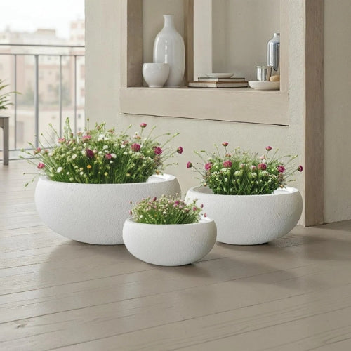 Bowl Shape Planter