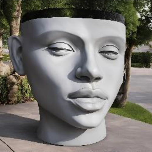 Face Sculpture