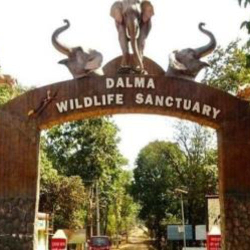 Animal Entry Gate