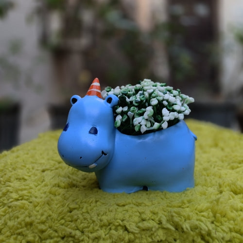 Blue hippo planter