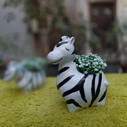 Medium zebra planter