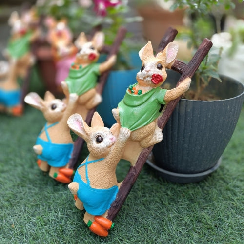 Rabbit on lader