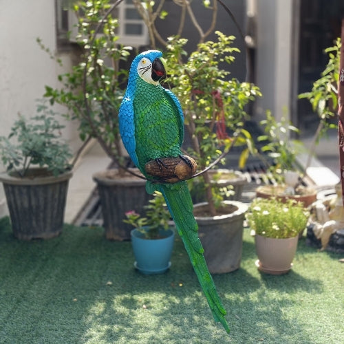 Big ring parrot hanging