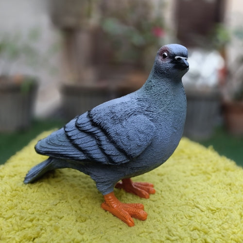 Black realistic pigeon
