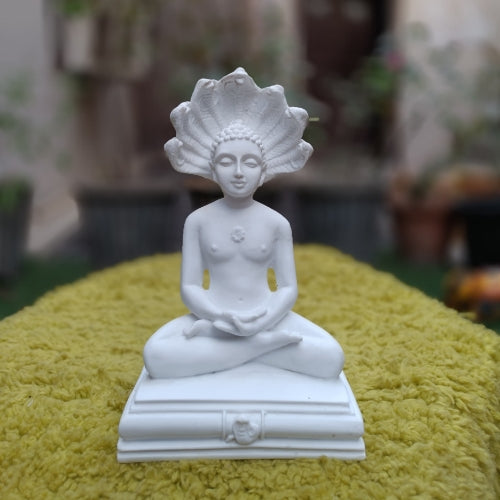 Pashwanath ji idol