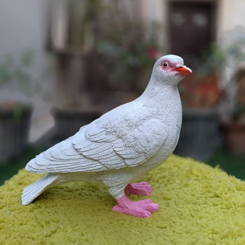 White realistic pigeon