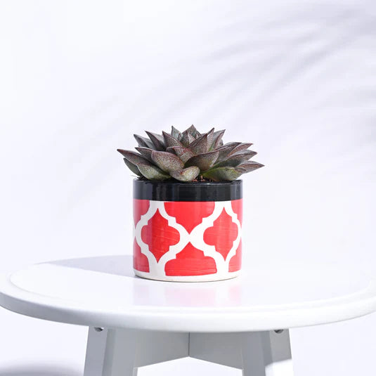 Pipe Ceramic Pot