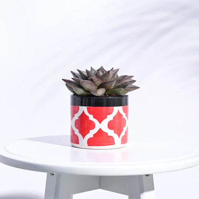 Pipe Ceramic Pot