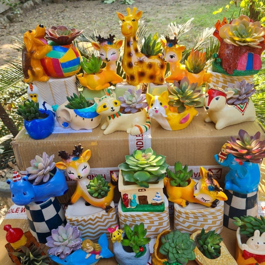 Giraffe Surround