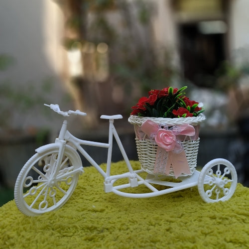 Cycle basket(plastic)