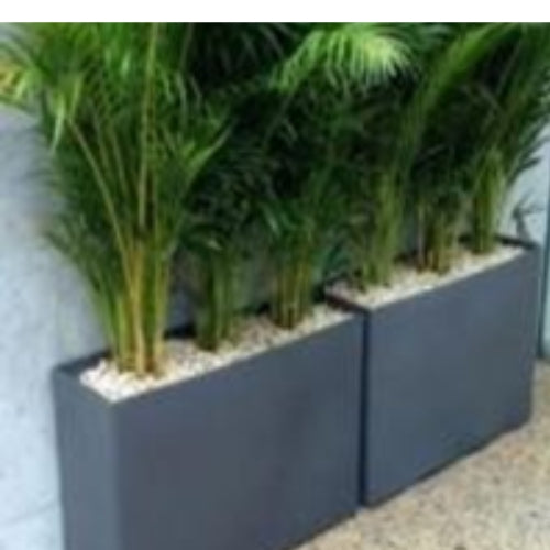 Rectangular box Planter