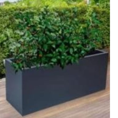 Rectangular Tray Planter