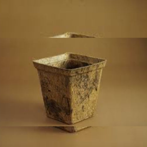 Square Pot
