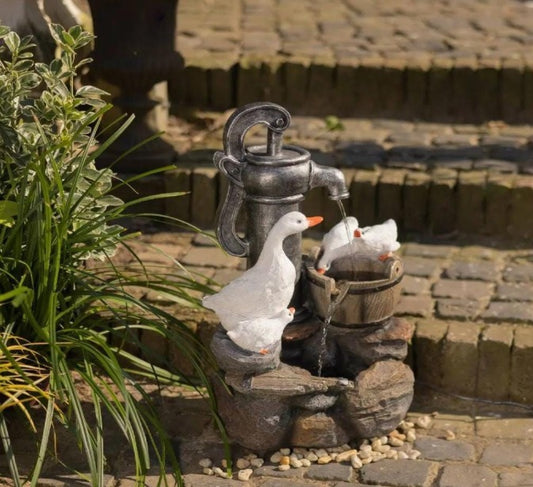 Duck Fountain