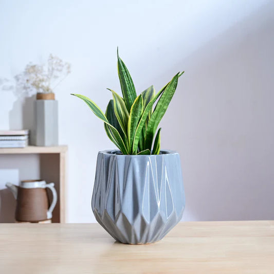 Precious Horcrux Ceramic Pot